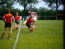 0DIA 1984 RAVA B1